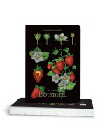 'Botanical' 14.5*21 cm 80 листа 100g Ягода